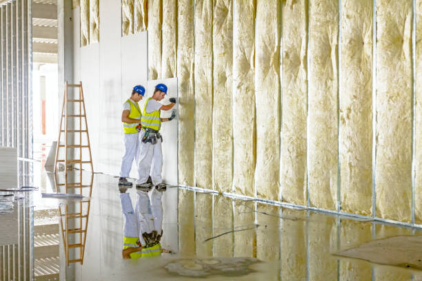 Best Commercial Insulation in Cudahy, CA